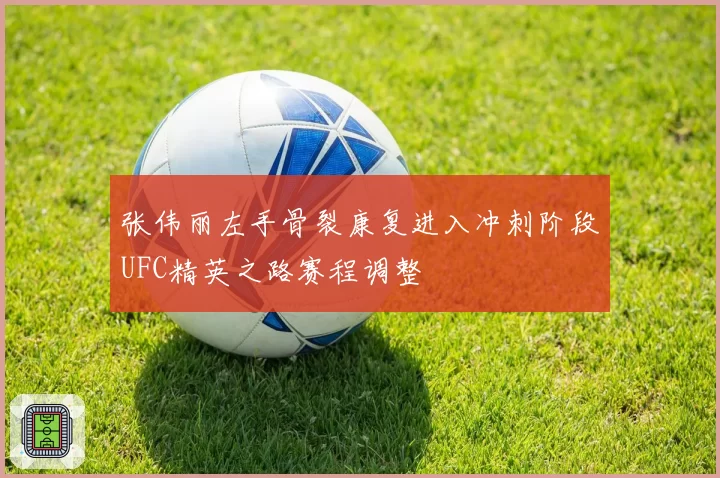 张伟丽左手骨裂康复进入冲刺阶段UFC精英之路赛程调整