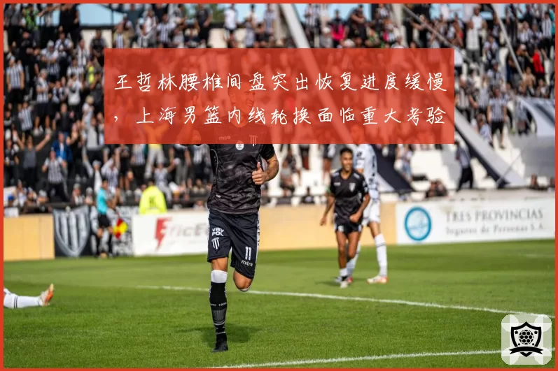 王哲林腰椎间盘突出恢复进度缓慢,上海男篮内线轮换面临重大考验